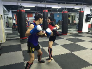 图 散打 泰拳 巴西柔术 少儿武术 防身术 暑期,长期培训 天津其他培训